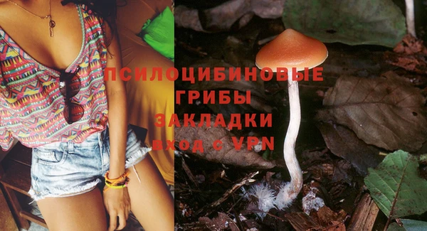 ГАЛЛЮЦИНОГЕННЫЕ ГРИБЫ Бронницы