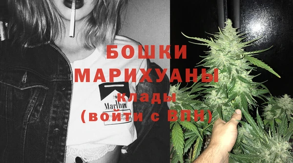 амф Верхний Тагил
