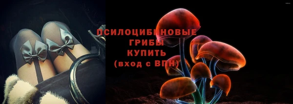 амф Верхний Тагил