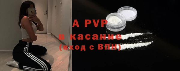 амф Верхний Тагил