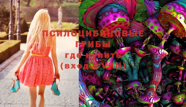 прущие грибы Вязьма