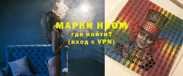 амф Верхний Тагил