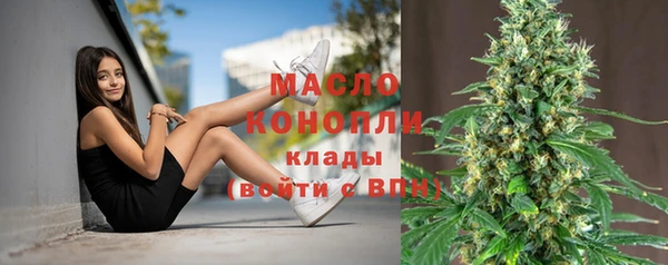 амф Верхний Тагил