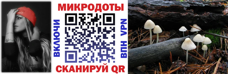 Псилоцибиновые грибы MAGIC MUSHROOMS  Вихоревка 